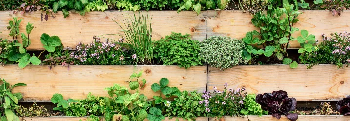 Vertikaler Kräutergarten aus Holz